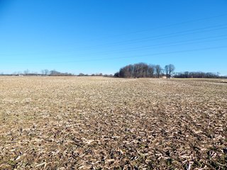Property photo 13 - REAL ESTATE AUCTION - 100+/- ACRES IN 5 TRACTS IN NOBLE COUNTY, INDIANA